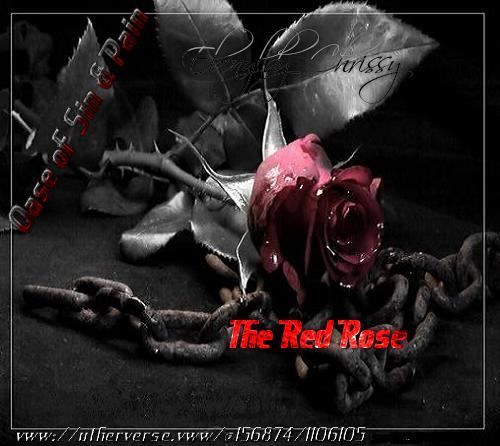  photo The Red Rose19_zpsz0q8qrjl.jpg