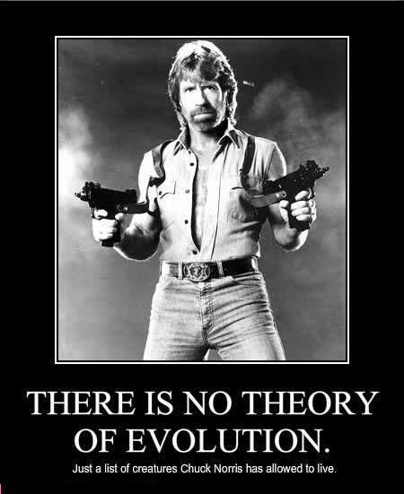 celebrity-pictures-chuck-norris-the.jpg