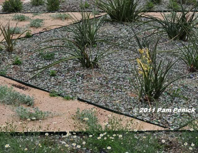un quadrato di giardino: forum di giardinaggio - un quadrato di ... - Come Sistemare Un Giardino Piccolo un quadrato di giardino: forum di giardinaggio - un quadrato di ... - Come Sistemare Un Giardino Piccolo