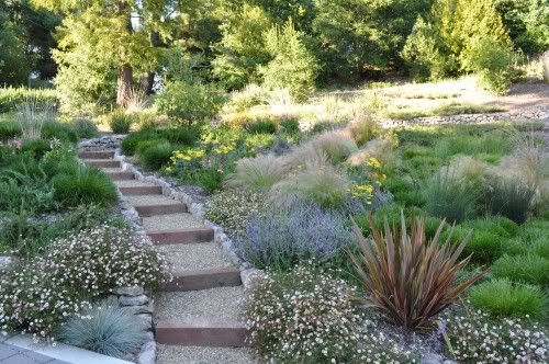 un quadrato di giardino: forum di giardinaggio - un quadrato di ... - Come Impostare Un Piccolo Giardino un quadrato di giardino: forum di giardinaggio - un quadrato di ... - Come Impostare Un Piccolo Giardino