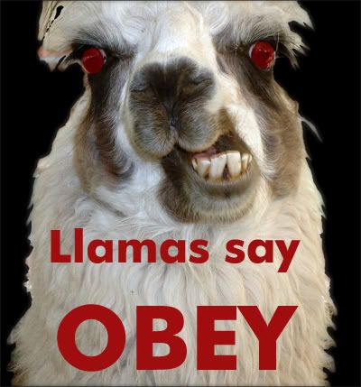 llama says obey