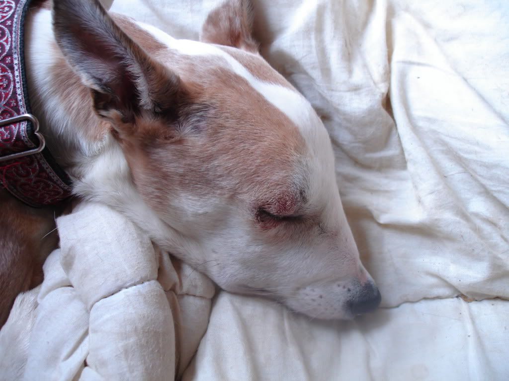 DSC01479.jpg