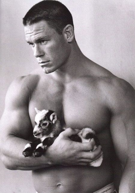 john_cena_DOG.jpg