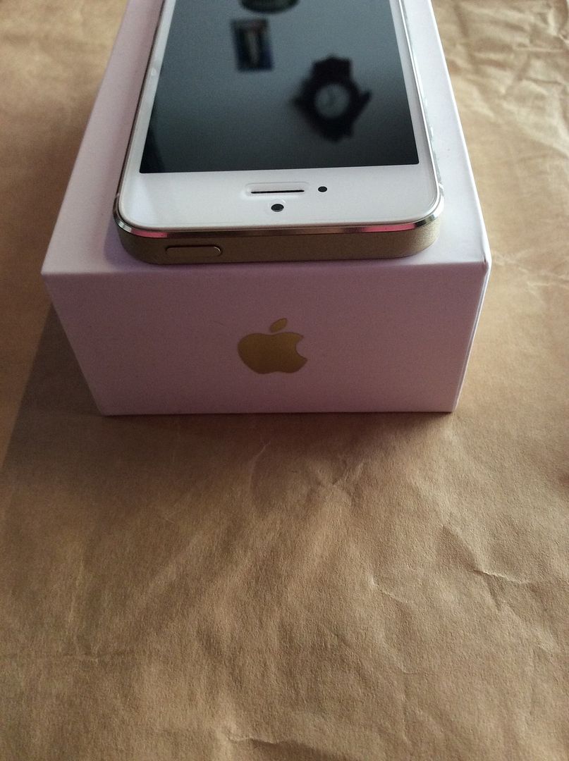 Bán iPhone 5s gray 16gb QT LL 98% pk sạc cáp chưa qua sửa chữa giá đi nhanh - 1