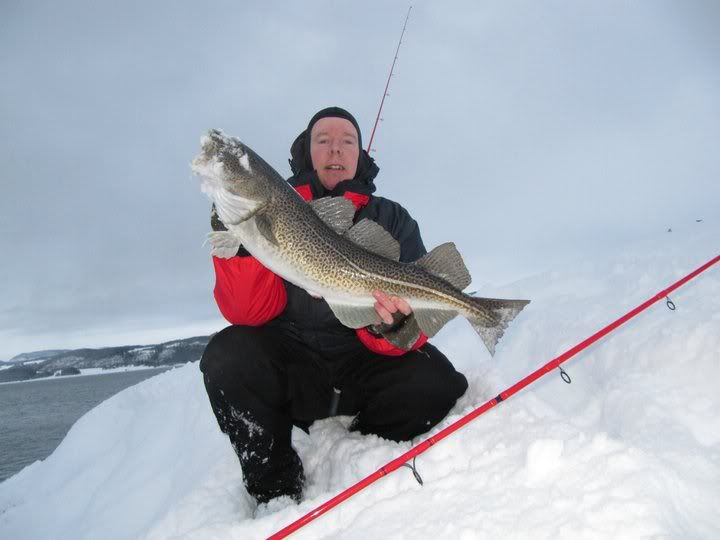 cod fishing in the norwegian fjords
