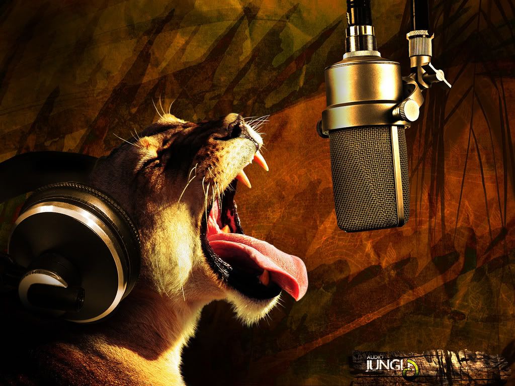 singingcat.jpg