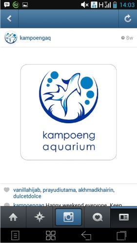  Aquascape Termahal Kampoeng Aquarium on Instagram Hobi Mahal 