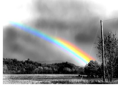 rainboww. Pictures, Images and Photos