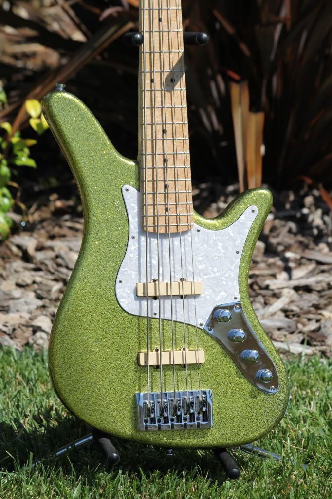 That GOLD Paint Not Available On Basses How Come That GOLD Paint Not Available On Basses How Come