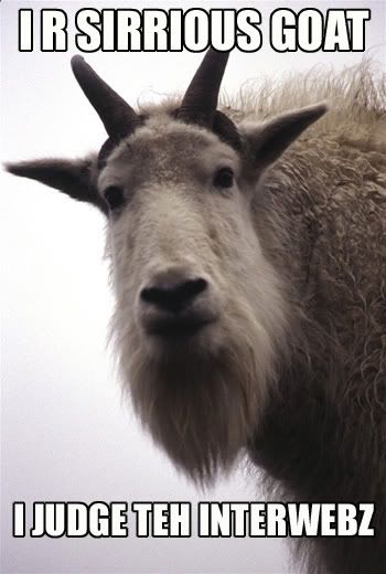 serious_goat.jpg