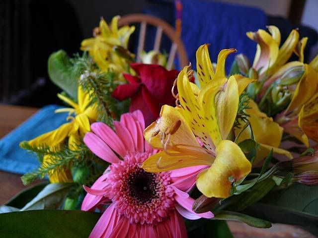 Flowers-1.jpg Bouquet of flowers image by norahs5701